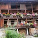 Balconi fioriti