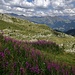 Blick von der Campo Tencia Hütte