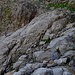 Der Einstieg. Links über den Felsbuckel oder rechts dem Bach entlang unter dem Wasserfall