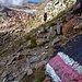 Auf 2600m (die Reste des Croslinagletschers 2022)