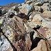 Kurzer Blockgrat 2750m