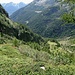 Val di Prato im Abstieg von Pradoi zur Alp Soveltra
