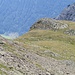 Richtung Punkt 2551 m stürme eine Gemse davon
