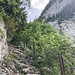 auf herausgebrochenem, gesicherten, Steig die letzten Meter hoch