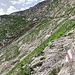 schön angelegter BWW oberhalb Chummli