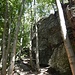 Dann entdeckte ich links von mir weitere Felsen: den eigentlichen Beilstein. Der Beilstein ist mit 180 Metern die längste der fünf Kanten, auf denen ich an diesem Tag herumturnte. Hier ist es wie am Zacken: auf der einen Seite geht's vielleicht 10, 15 Meter senkrecht in die Tiefe, auf der anderen ist's Waldboden. 