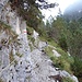 Auf dem wrw-Weg zwischen der Rosenlaui-Gletscherschlucht und der Verzweigung Engelbergerhütte/Dossenhütte.