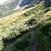 Wer hat bei einem einspurigen Alpinwanderweg jetzt schon wieder Vortritt? Ah ja genau, der mit den längeren Hörnern!