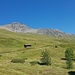 Die weite Alp Neaza