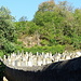 Israelitischer Friedhof