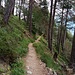 Un tratto del bellissimo sentiero dall'Alpe Pirlo al parcheggio....tutto da correre! 