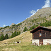 Ankunft auf Guggini, wo eine Ziegenherde weidet und am nur noch tröpfelnden Brunnen ihren Durst löscht. Über der Hütte die Bruneggen, links dahinter Weisshorn, Gross Kastel und Bodmen