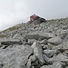 Le pietraie che, dietro il rifugio, portano alla base delle cime dell’alta Val Porcellizzo.