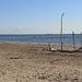 La spiaggia di Ca' Roman con i legni portati dalle maree.