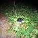 E dopo circa 35 minuti di ricerca, è difficile descrivere cosa ho provato quando ho trovato il portafoglio nei pressi di un troco abbattuto che attraversava il sentiero nel bosco (il salto fatto  con la bici è quello che ha causato la sua fuoriuscita dallo zaino a causa della cerniera aperta), ma l’urlo che ho cacciato deve aver spaventato non poco gli animali notturni presenti nel bosco….