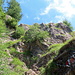 Eine felsige, drahtseilversichte Passage am Hochstrikl. Der weitere Abstieg führt in unzähligen Serpentinen unschwierig durch den steilen Bergwald zum Bischofer Joch hinab.