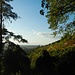 Wir treten aus dem Wald heraus und in die Weinberge hinein.