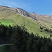grün