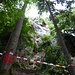 Bodenberg