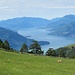 Panorama dall'Alpe di Pescedo.