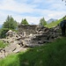 Le rovine dell'Alpe Tamul.