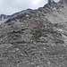 Zur Barmer Hütte steigen wir erst im Abstieg auf.