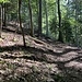 Manchmal ist der Weg auch steiler.