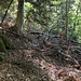 Hier war der Aufstieg versperrt. Knn jedoch links ausserhalb vom Bild etwas mühsam umgangen werden.