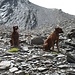 Frida, Floyd e Kyra