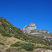 Meidhorn