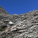 Im Aufstieg zum Piz Piot