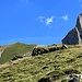 il Botzelchopf 