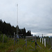 Wald-Klimastation