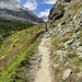 Hübscher Single Trail bei Kalbermatten