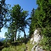 Man quert in schönster Landschaft die Ostseite des Brünnsteins