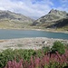 Lago di Monte Spluga