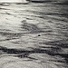 Das Meer