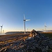 Die Windräder