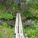 Brücke beim Eintritt in die Wildnis
