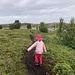 Auf dem Weg zum Sandstrand