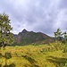Glomtinden in der Morgensonne