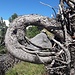 ... und Kunst am Berg.