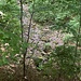 die Heidegruebe - eine grössere Senke mit Felsblöcken mitten im Wald