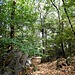 Felsen auf dem Schenkenberg.