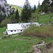 Probstalm