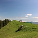 Rückblick zur Tennenalm