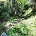 Aufstieg zum Kirchel
