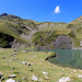 Die Schafe geniessen den schönen Bergsommer