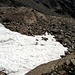 Schafe im Schneefeld auf ca. 2650 M.ü.M.
