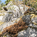 Die Farben der Vegetation sind bereits recht herbstlich.